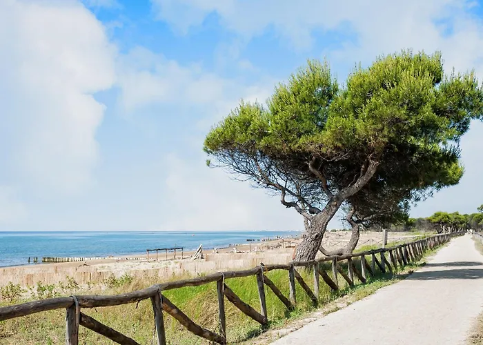 Daire Ground-floor Flat With Pool Bibione